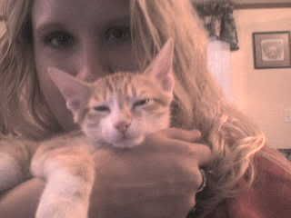 myfurrbabies236.jpg