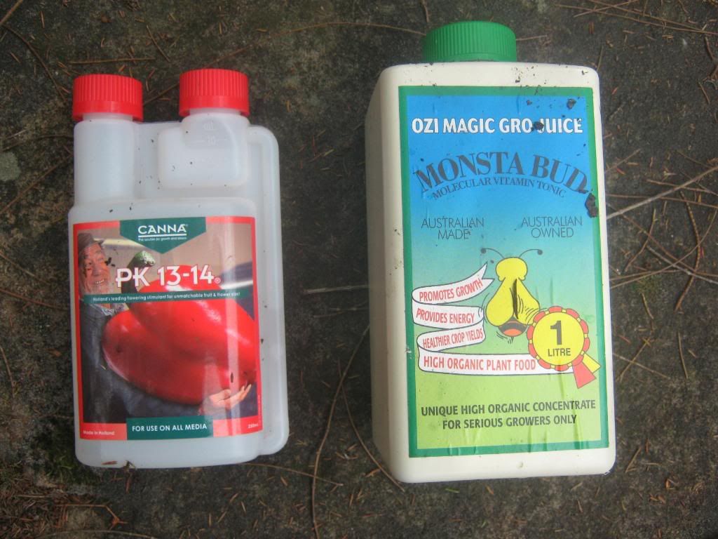 monstabudpk.jpg