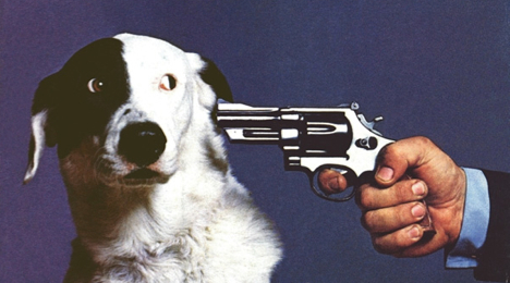 kill-this-dog.jpg