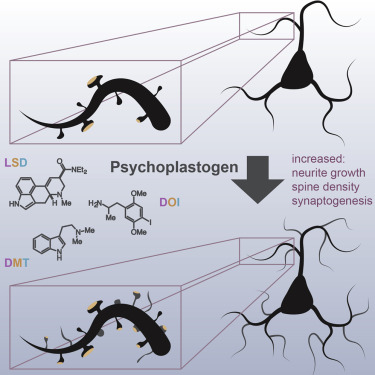 www.sciencedirect.com