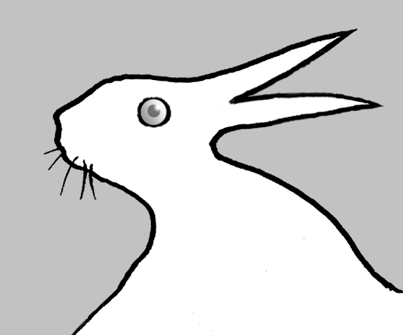 duck5.png