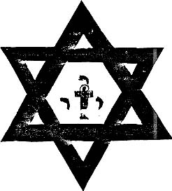 img8.jpg