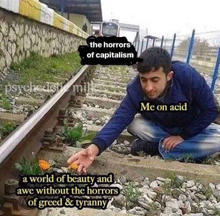 nvwig9rfvng21.jpg