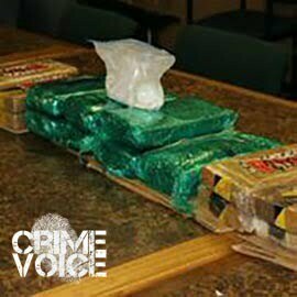 Cartel-Drug-Haul.jpg