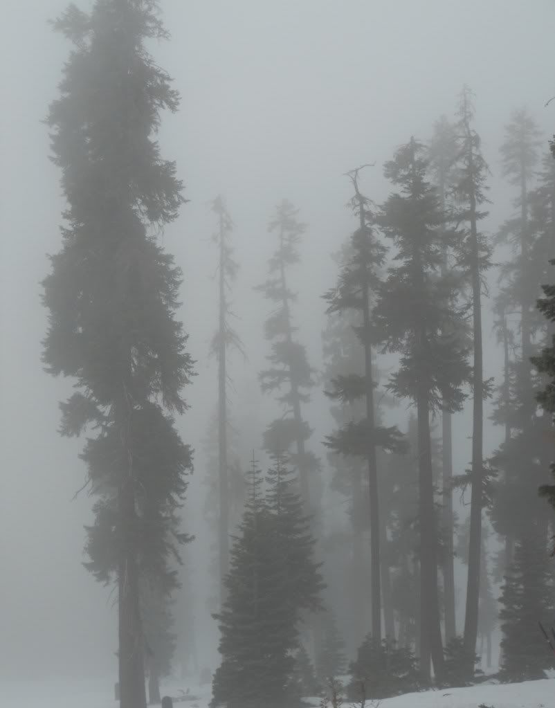 DSCN0486.jpg