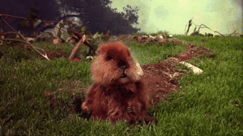 qL6UaK2.gif