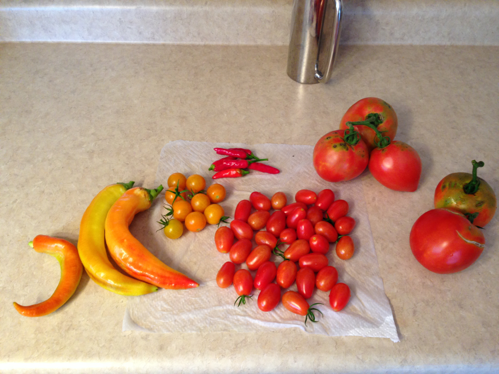 garden+07+27+14.png