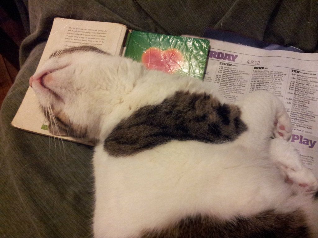 20120805_073559.jpg
