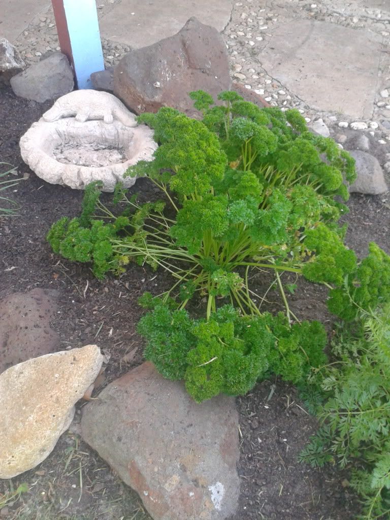 2013-09-02144518_zpsa767a0ec.jpg