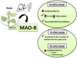 www.sciencedirect.com