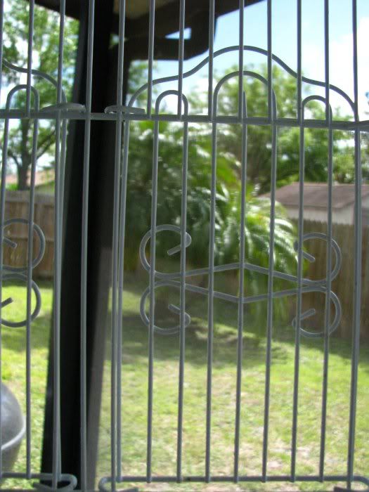 birdwindow.jpg