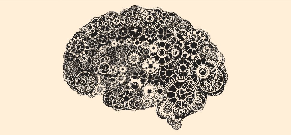 brain-illustration-1940x900_35269.jpg