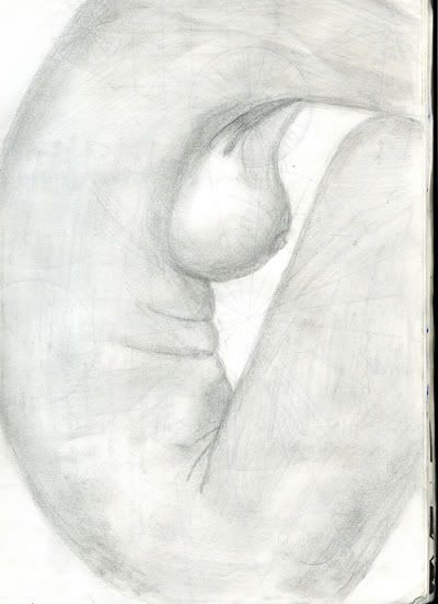 img003.jpg