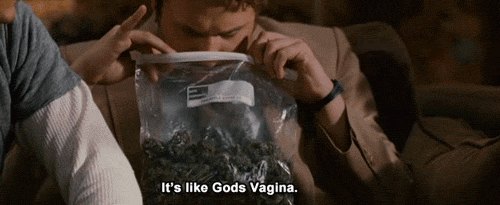 tumblr_lwuilezD2o1qinxcco1_500.gif