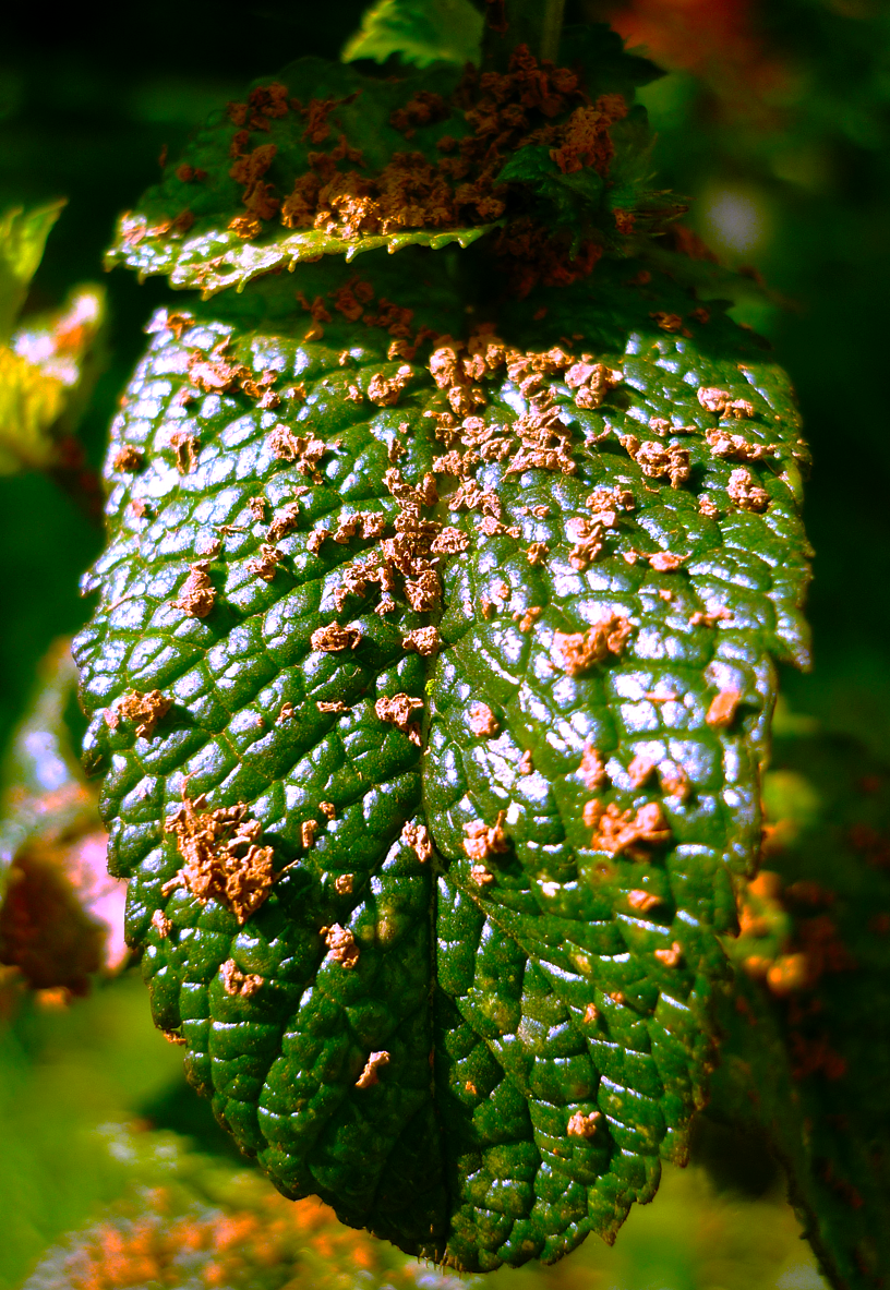 hangin___by_jspete-d30p8k2.png