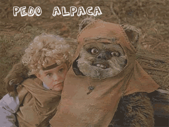ewok-1.gif