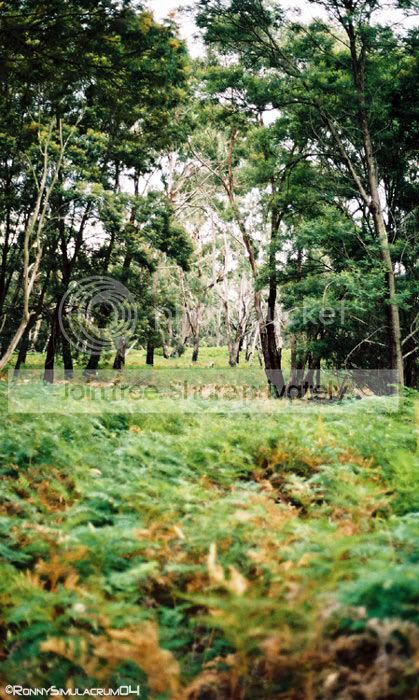 Site1.jpg