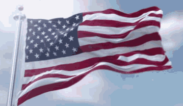 BSizjxA.gif