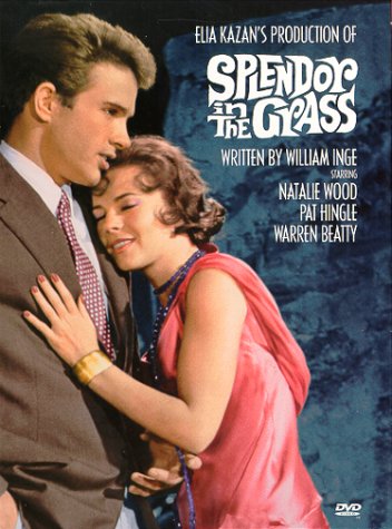 splendor.jpg