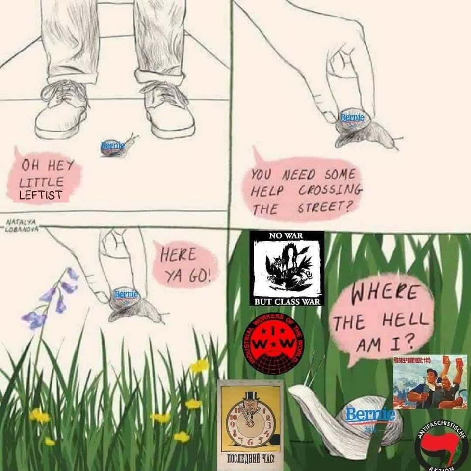 3zz2kkvyk8y41.jpg
