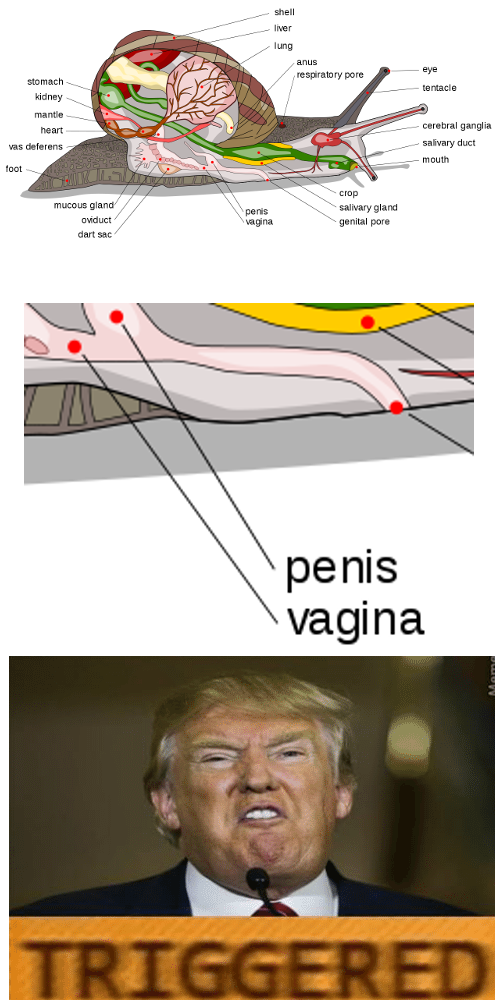 ay1HwDc.png