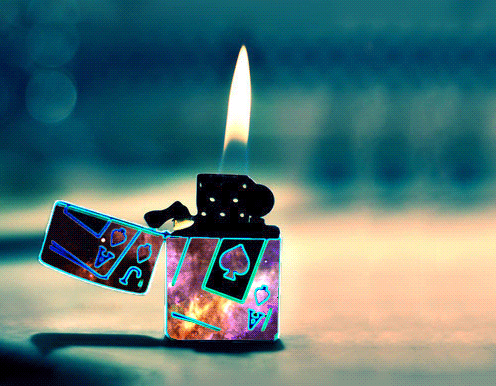 tumblr_mgz14koR5M1rkv9hdo1_500.gif