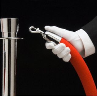 VelvetRope1.jpg