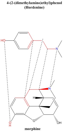 4-_2-_dimethylamino_ethyl_phenol.jpg