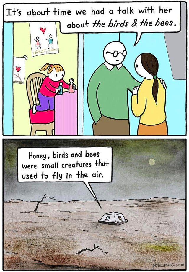 11fd0ut2myt71.png