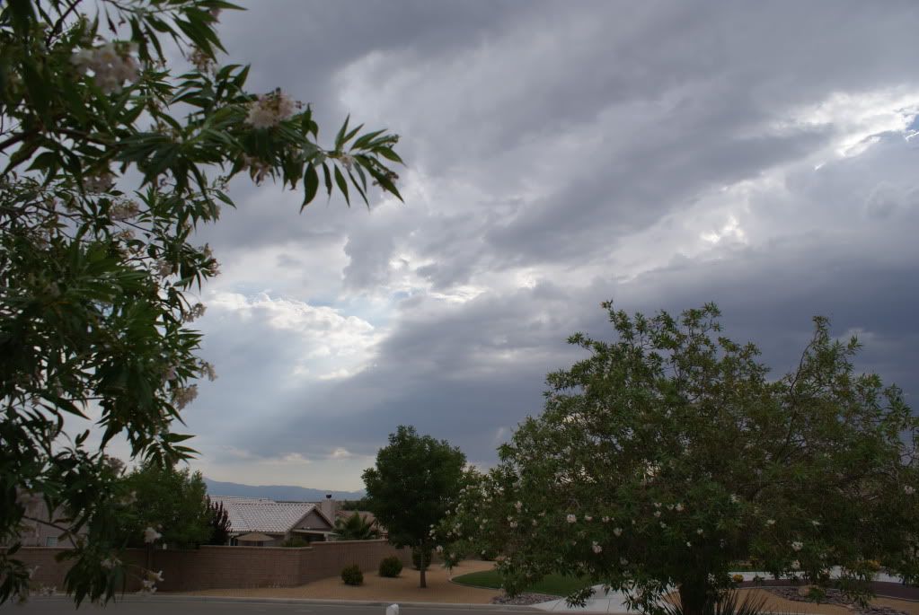 DSC09504.jpg