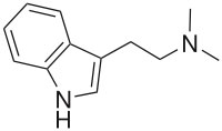frecskae3_html_md6e50e8.jpg