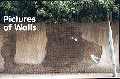 pictures_of_walls_book.jpg