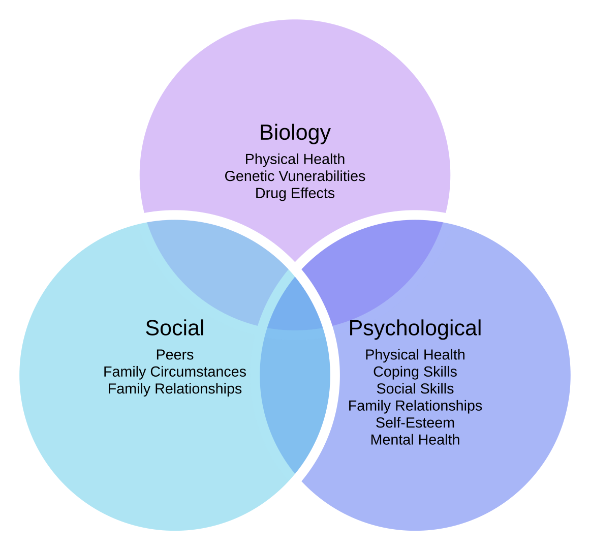 Biopsychosocial_Model_of_Health_1.png