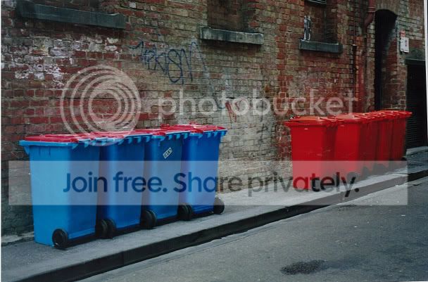 bins2-1.jpg