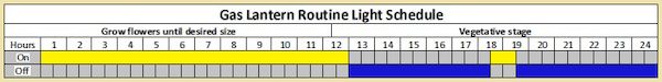 Gas-Lantern-Routine-12-5-5-1-5-5.jpg