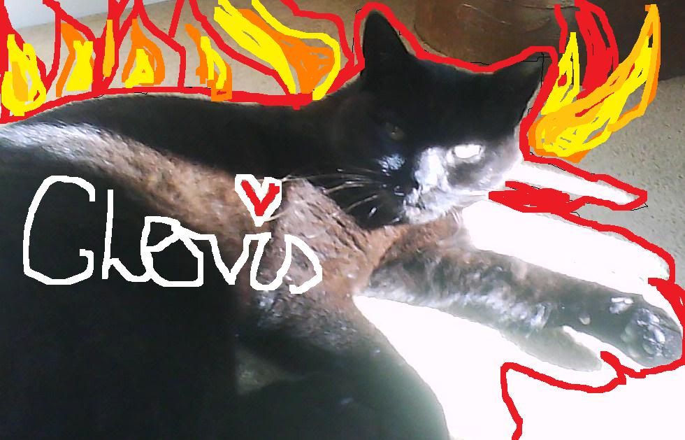 Clove-1.jpg