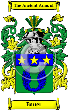 www.houseofnames.com