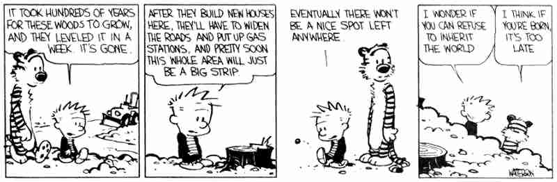 calvin-on-sprawl-2.jpg