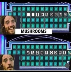 XOAXH9a.jpeg