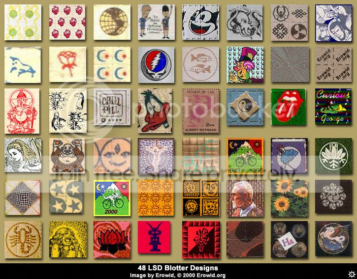lsd_collage2.jpg