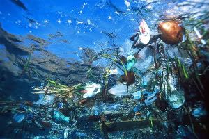 plastic_ocean_trash-1.jpg