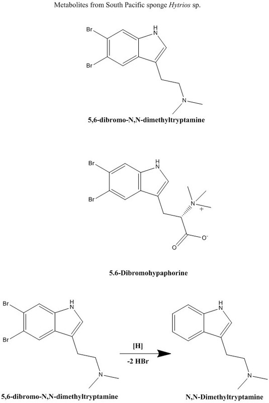 Metabolites-from-South-Pacific-sponge-Hytrios-sp.jpg