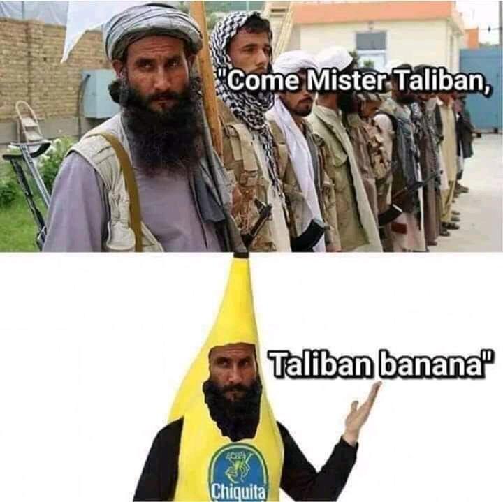 x0QGu5t.jpg