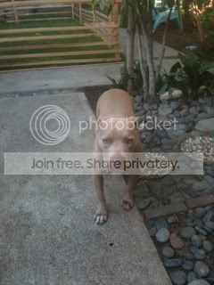 00a89561.jpg