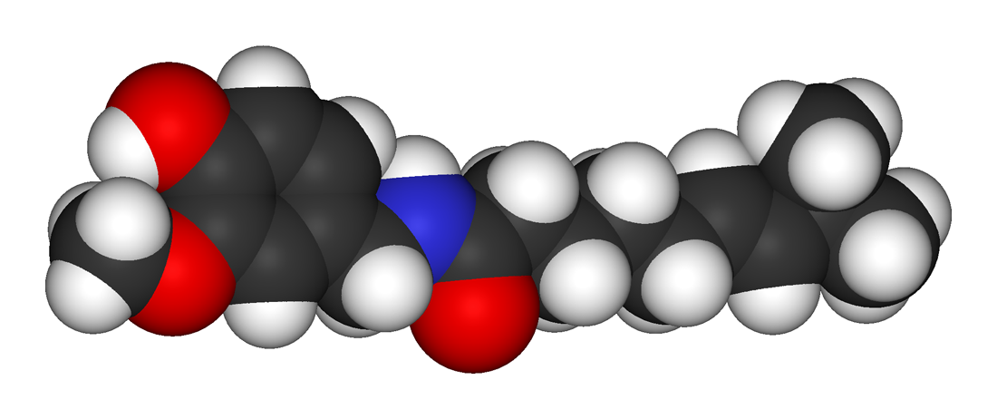 Capsaicin-3D-vdW.png