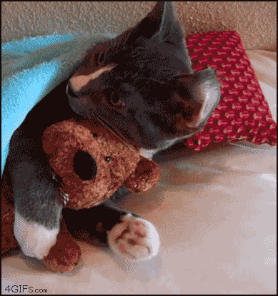np5N5.gif