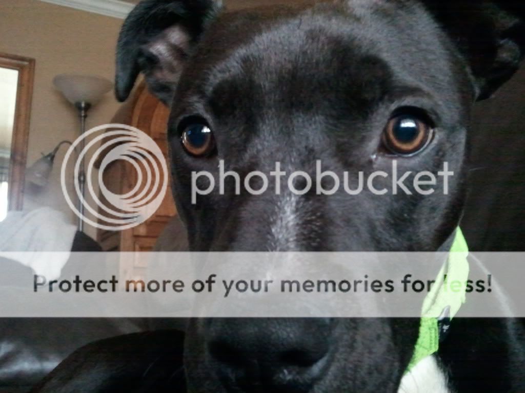 2011-06-09121451.jpg