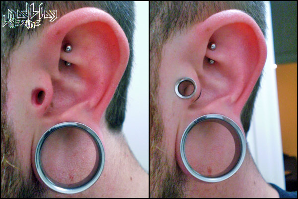 0ga-tragus-tunnel.jpg