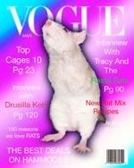nubbyvogue5.jpg