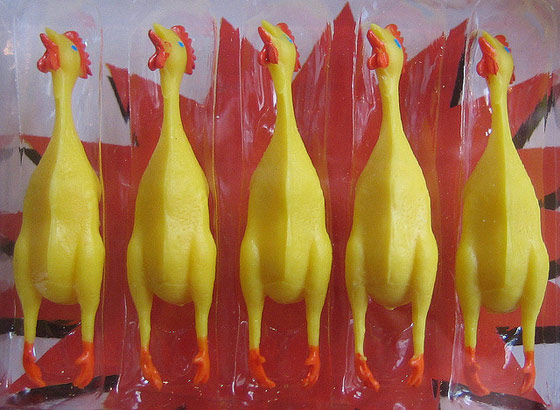 chicken-color-vision-3.jpg